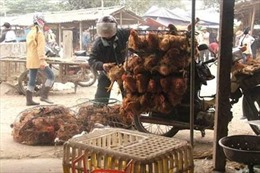 Chợ Móng Cái công khai bán gà ‘tàu’ 